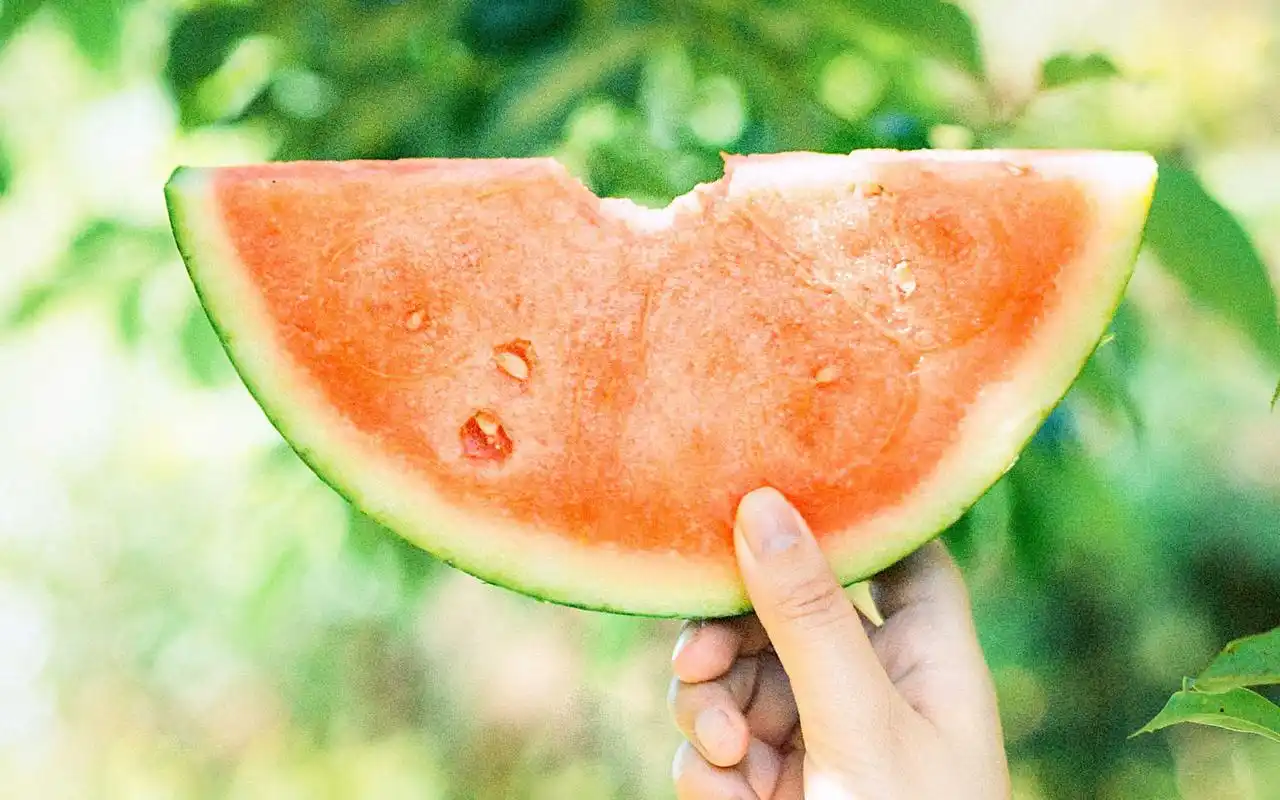 首页 桌面壁纸 风格壁纸 夏日物语高清小清新壁纸图片 上一张 下一张