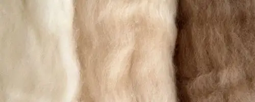 棉羊绒是什么面料 绵羊绒面料起球吗_科普知识_美文阅读网