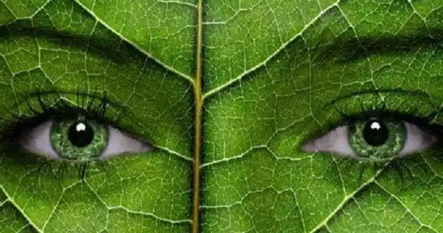 世界上绿种人不足3000,血是绿色,他们靠光合作用能活下去?