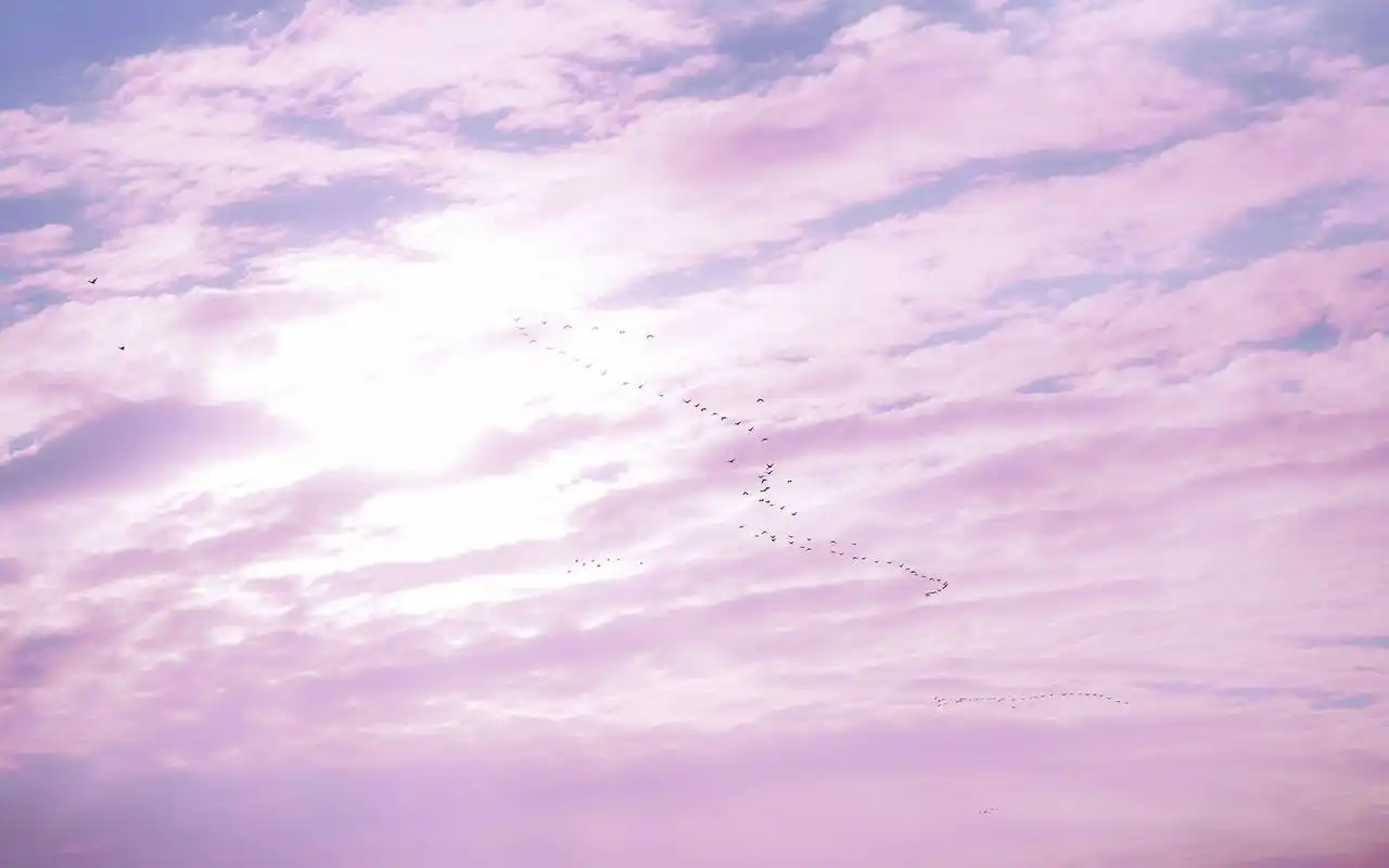 少女心粉紫色天空风景桌面壁纸