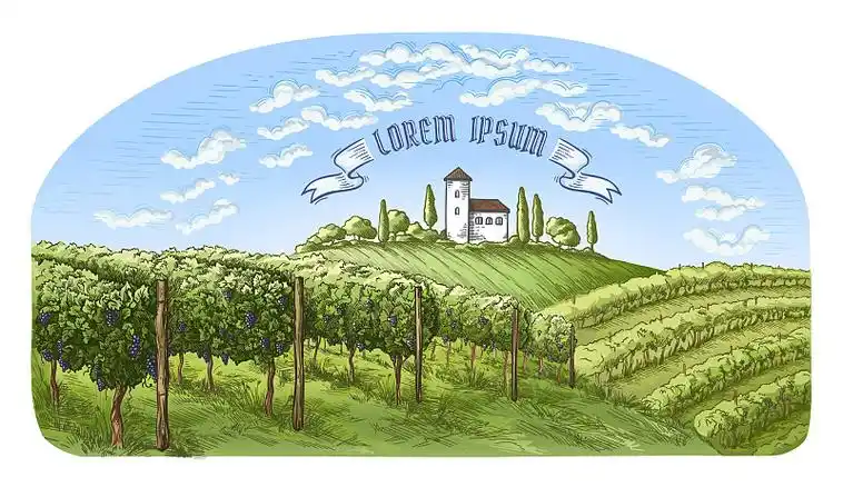 色彩斑斓的葡萄种植园,山,树,云插画下载