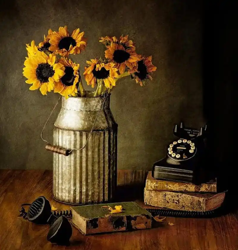 【古典风格静物摄影作品】 摄影师:maureen mackenzie 头条创作挑战赛