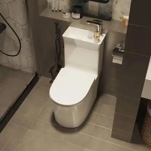 带洗手盆马桶够给力吧