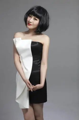 【转载】美女明星 王雅捷