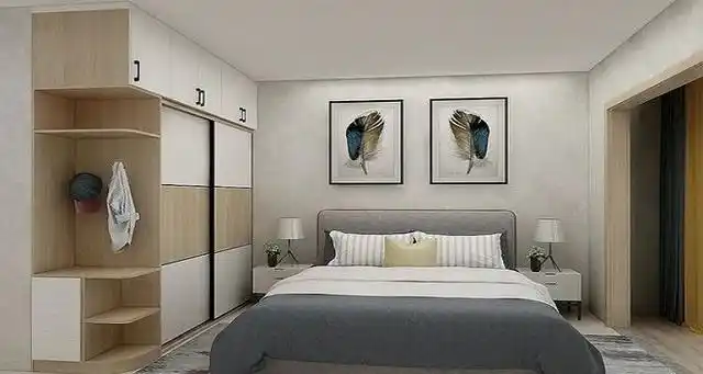 今年流行的衣柜颜色及款式