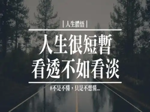 人生很短暂,看透不如看淡.