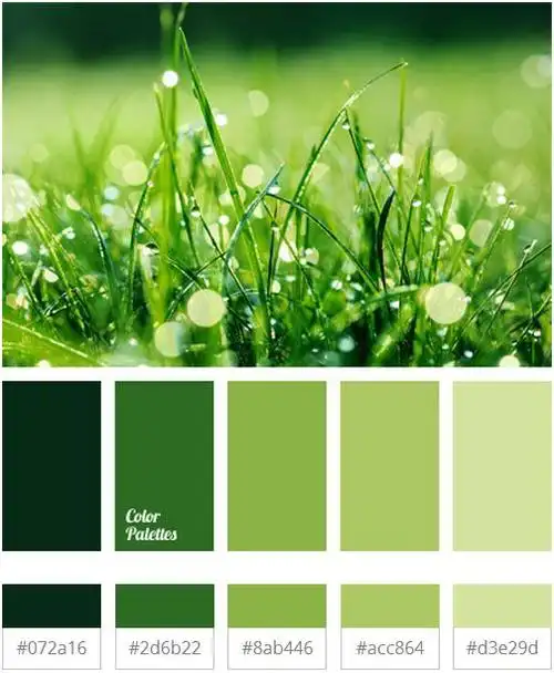 2017最美流行色 · 草木绿 "greenery",大自然才是最好的配色师.