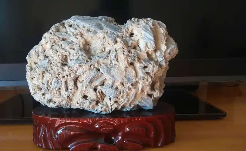 家有奇石,其乐无穷.