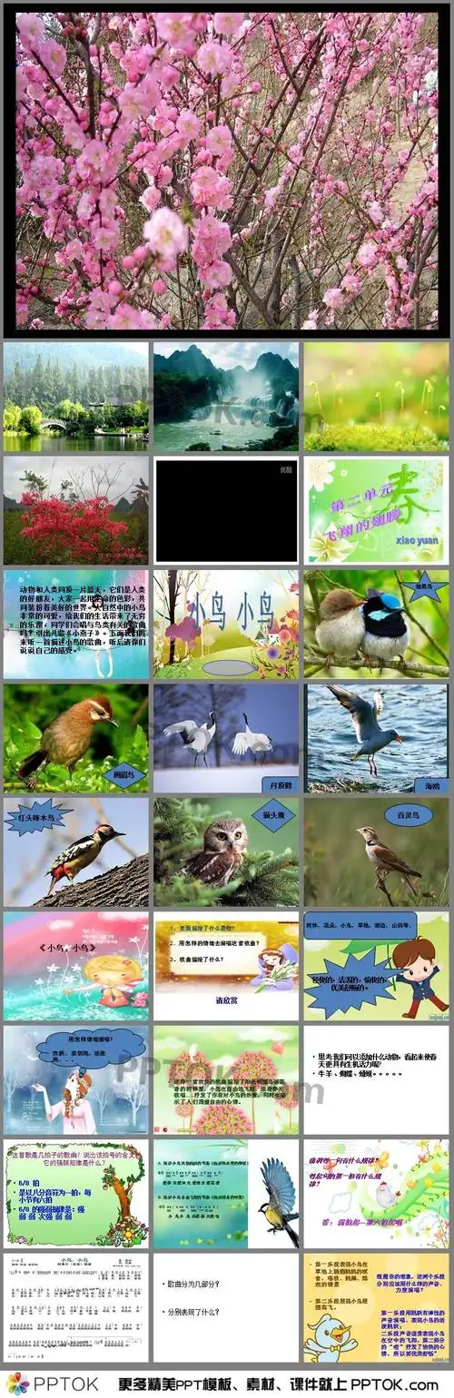 小鸟小鸟ppt大班