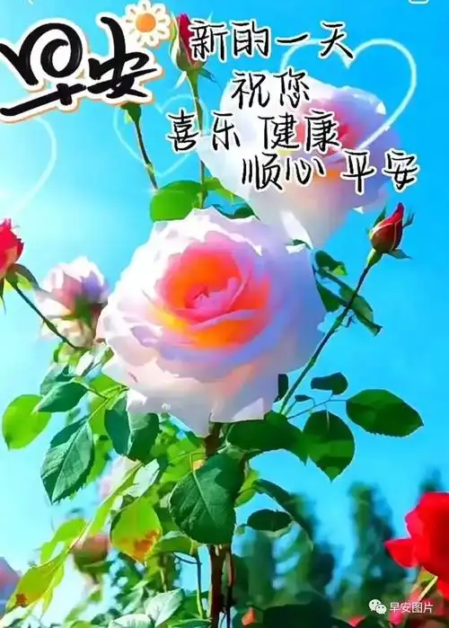 7月9日早上好漂亮祝福图片