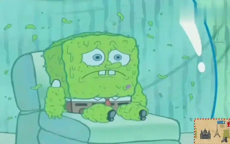 海绵宝宝被真菌侵蚀变成绿色的了