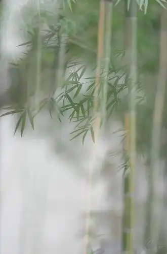 690_1047竖版 竖屏