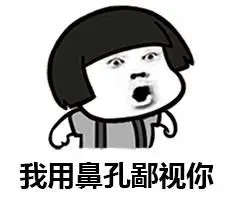 我用鼻孔鄙视你