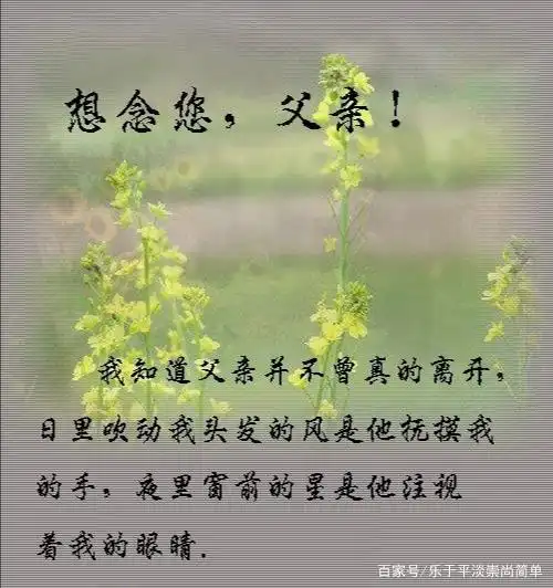 我深深怀念的人——父亲