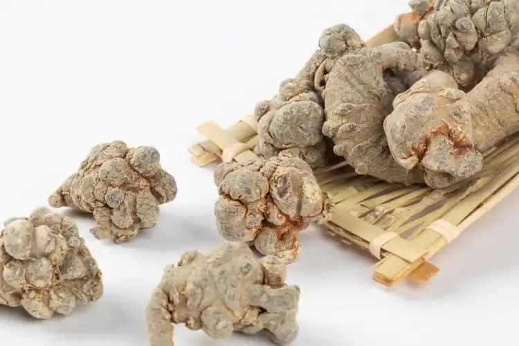 常服无限能三七破壁饮片,助你活血散瘀!