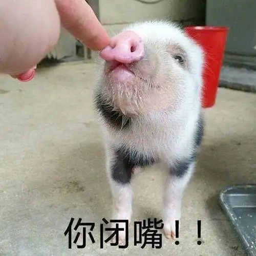 关于猪的搞笑表情包:开心得像个小猪仔