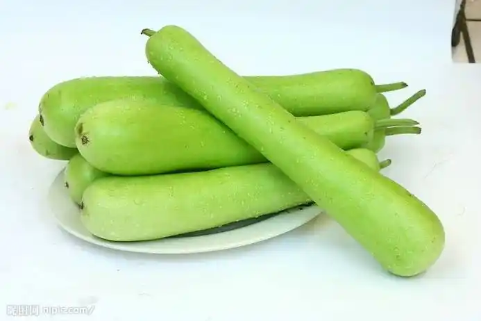 瓠瓜为什么苦?能吃吗?和西葫芦怎么区分?