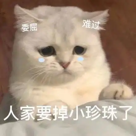 委屈难过人家要掉小珍珠了(猫咪表情包)_珍珠_猫咪表情