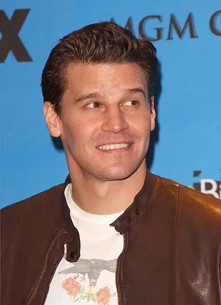 大卫·伯伦纳兹 david boreanaz的图片