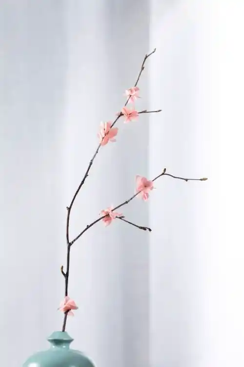 国风古韵丨淡雅四君子梅兰竹菊中国人永恒的的审美理想