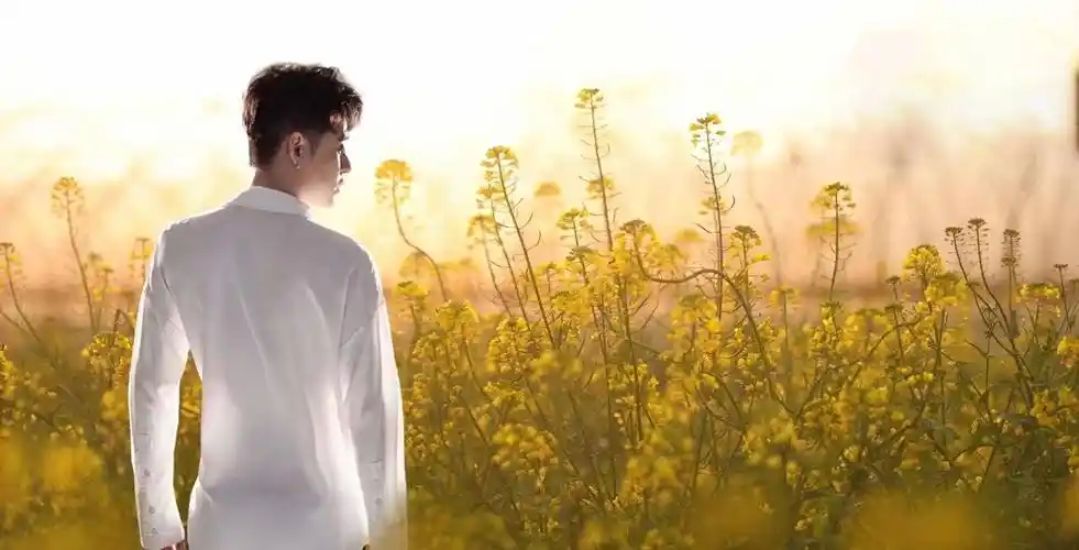 张云雷的绿海乐队是什么水平?是不入流还是全是顶流?_音乐_方面_因为