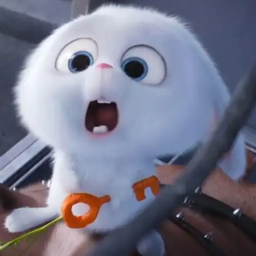 头像爱宠大机密snowball雪球小白