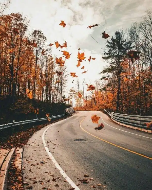 治愈系风景_唯美图片_我要个性网