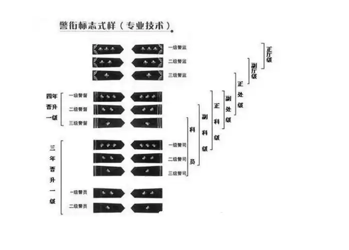 一级警督是什么级别派出所所长是几杠几星