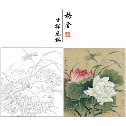 李晓明工笔画白描底稿荷花蜻蜓小品临摹画稿花鸟线稿含步骤图kg23