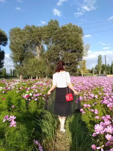 靓丽的背影靓丽的花.