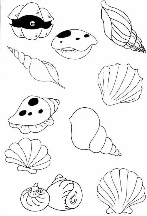 小贝壳简笔画 小贝壳简笔画彩色