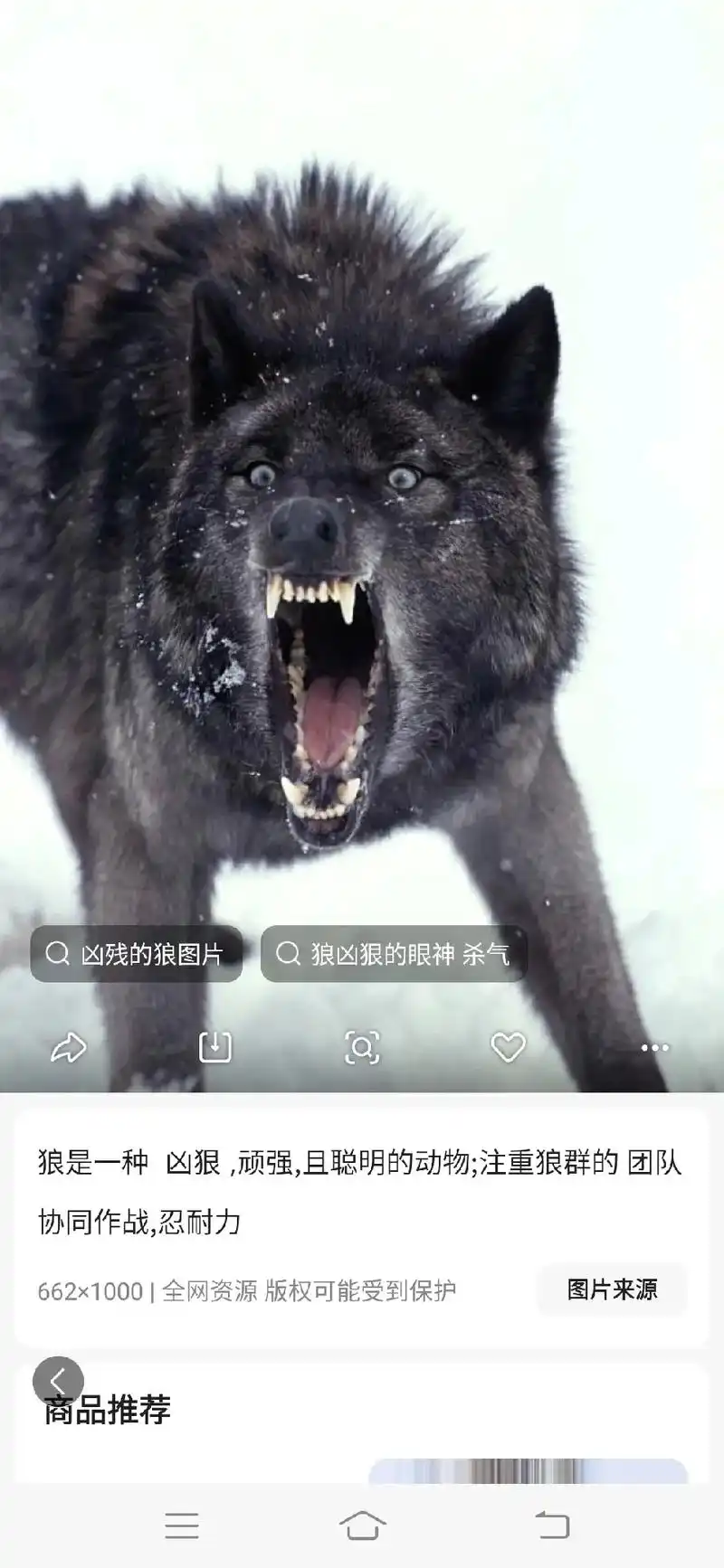 白眼狼滚出我的视线! - 抖音