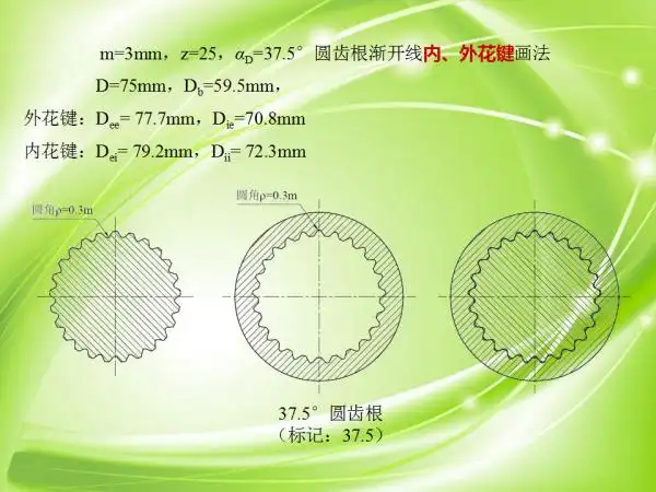 渐开线花键的简化画法cad