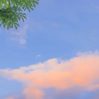 标签:意境治愈系0308