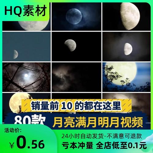 月亮树枝明月光圆月蓝月满月空境阴云夜空乌云穿行过云层视频素材