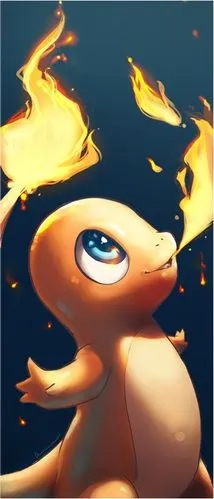 【精灵宝可梦/神奇宝贝/宝可梦】小火龙