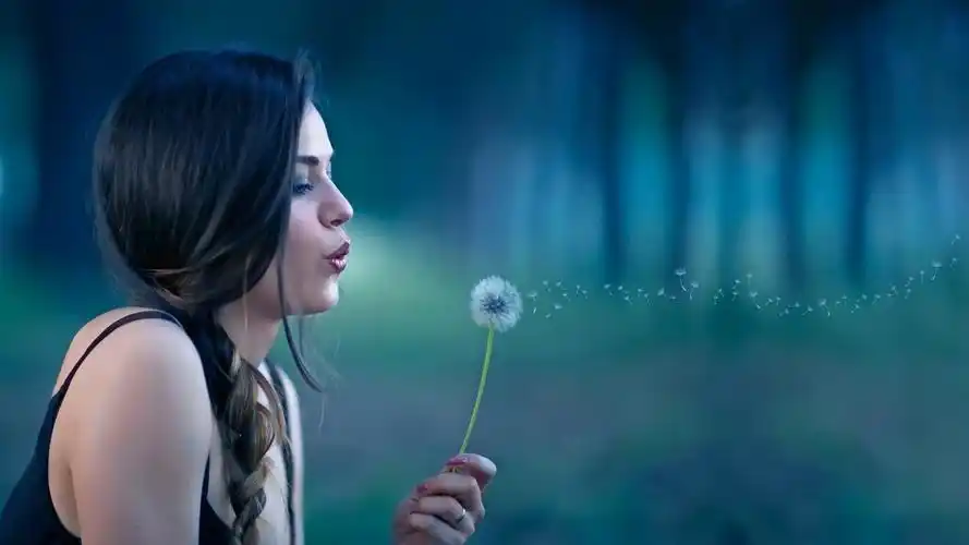 壁纸 女孩,蒲公英,背景虚化