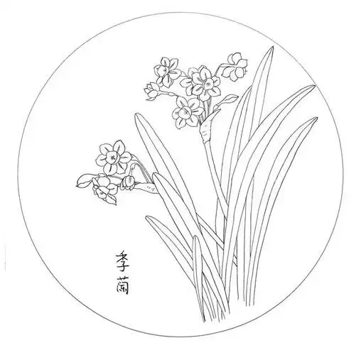 季阑工笔花鸟圆扇面29幅,色稿 白描,喜欢的收藏关注
