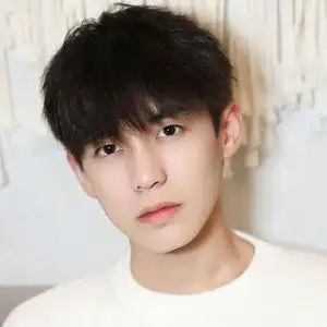 假发男碎盖网红锅盖头蓬松微分帅气短直发韩版日系自然逼真全头套