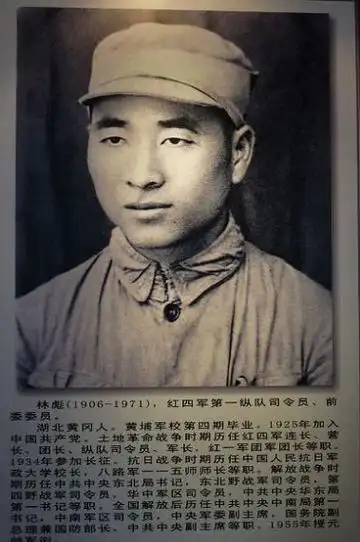 九一三事件后聂荣臻批评林彪是个昏君给他当家的是叶群