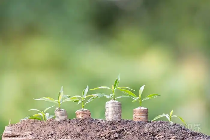 在绿色自然的背景下, 把钱洒在地上.