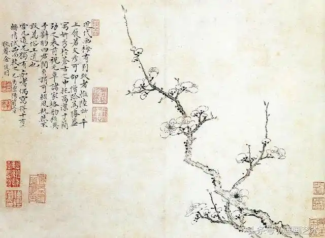 100幅白描梅花绘画手稿练笔用