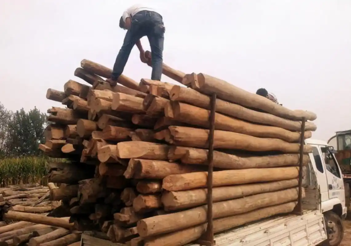 常有商贩来农村收购旧木头,收走的旧木头有啥用?看完心里有数了