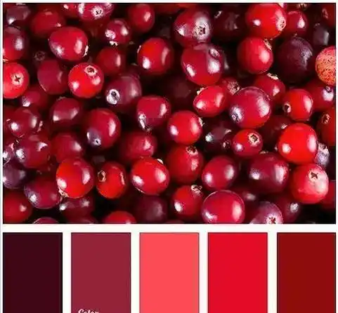 核心点解析,真不简单_可拉_时尚_红色