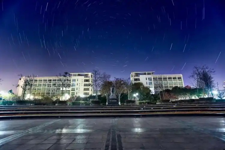 国内频道  大学出走,两股潮流.