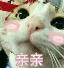 亲亲的表情包图片可爱2017精选我要亲你违法吗