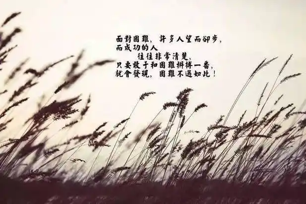 记住了:除了自己,谁都指望不上