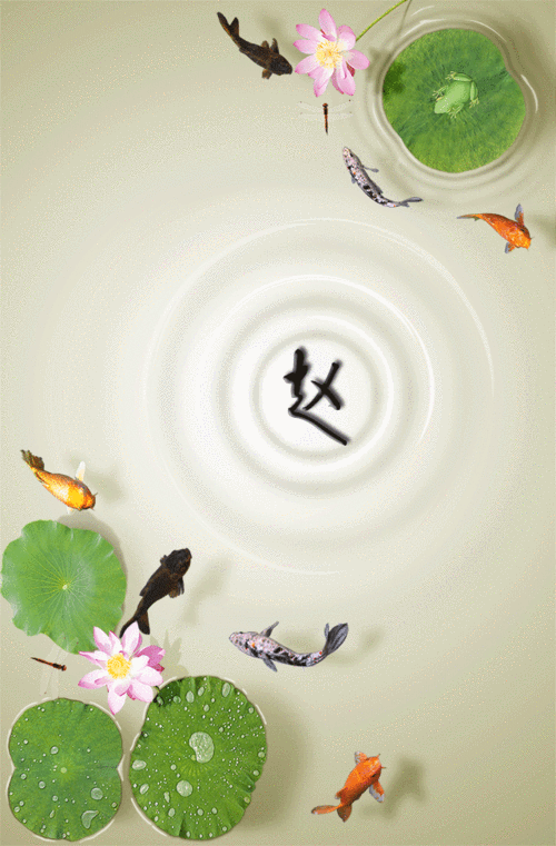 640_974竖版 竖屏gif 动态图 动图