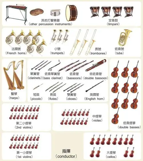 初识乐器之西洋乐器(一)