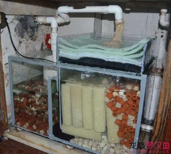 关于过滤滤材摆放 --流氓指导 - 鱼缸器材 - 龙巅罗汉鱼